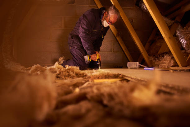 Best Residential Insulation in Lawton, OK